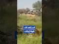 لحظة استهداف قوة إجلاء إسرائيلية بمسيرة لحزب الله Shorts Short Shortsclip Shortscraft 