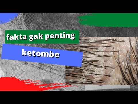 fakta gak penting