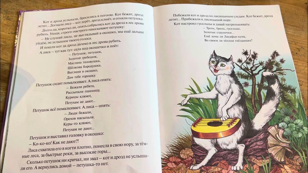 Щука и кот текст. Щука и кот текст