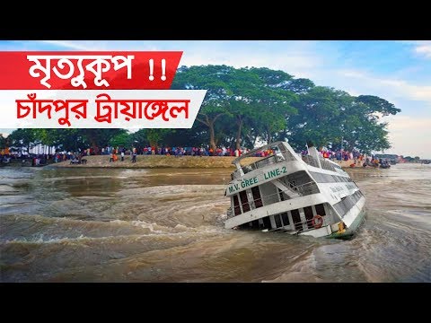 ভিডিও: একটি লজপোল পাইন পর্ণমোচী বা শঙ্কুযুক্ত?