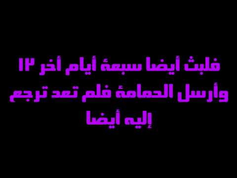 سفر التكوين الاصحاح الثامن