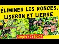 Tuer les ronces  tuer le lierre ou tuer le liseron  voici une mthode simple