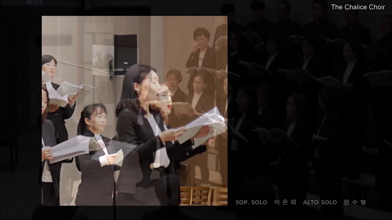 반짝이는 밤하늘 아래