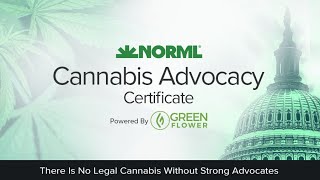 ⁣NORML Advocacy: Effective Nonprofit Activism