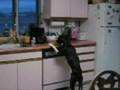 How to stop counter surfing How to stop counter surfing