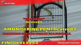 Download lagu PLECI 'WAROK' AMUNISI KONSERVASI DEXTRO87 WALAU MABUNG MASIH MENDOMINASI