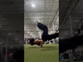 New goals always 💪🏼 #handstand #calisthenics #fitness #flexibility #handstandpractice #gymgirl