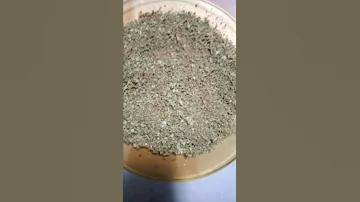 فوائد واضرار واستعمالات الشيح 