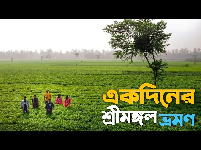 চায়ের শহর শ্রীমঙ্গল ভ্রমণ - ১৩৫০ টাকায় | Dhaka to Sreemangal One Day Tour | The Land Of Tea Garden class=