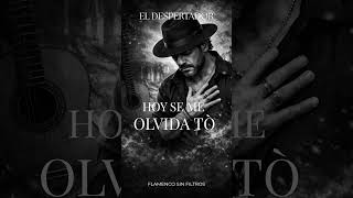 Hoy se me olvida to’ 🔥