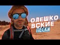 Олешковские пески | Экскурсия с Дмитрием Семеренко