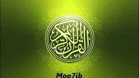 سورة الانبياء   عامر الكاظمي