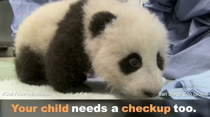 The Doctor is In! #CallYourPediatrician | American Academy of Pediatrics (AAP)