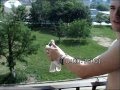 Голуби
