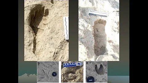 CARTA: Bipedalism and Human Origins--Brian Richmon...