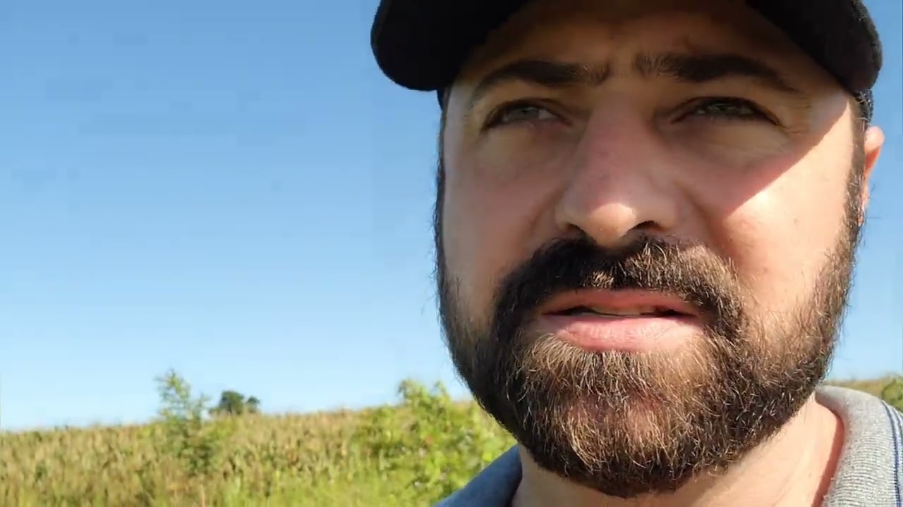 PLANTAÇÃO DE NEEM INDIANO APÓS 1 ANO