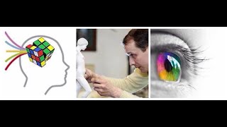 Famous Improve Your Visual Intelligence by easy steps Wealth