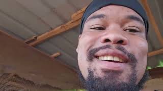 LOOK AT MY PRETTY CHICKEN. local chicken are much better than those foreign GMO chickens.