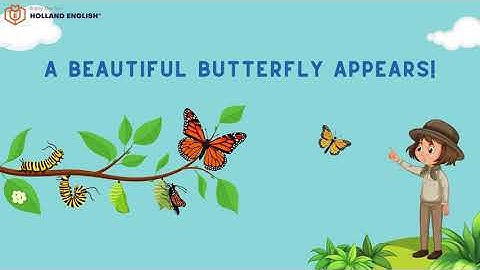 Butterfly Life Cycle_Vui học từ vựng về côn trùng cùng ANH NGỮ HÀ LAN