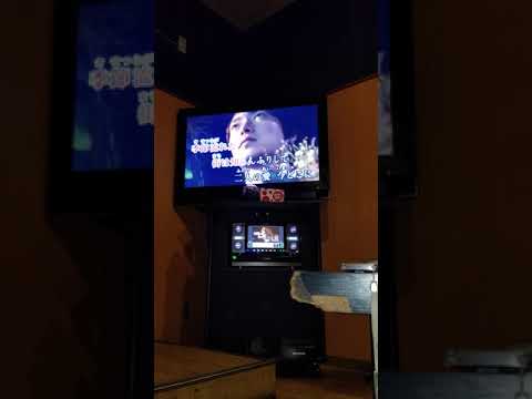 風の駅／野口五郎　カバー