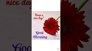 Good Morning photo | Good Morning images |  Free Download | wallpaper | Images with flowers | Apps screenshot 4