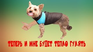 Жилет осень/весна для собаки . Жилет осень/весна для собаки .