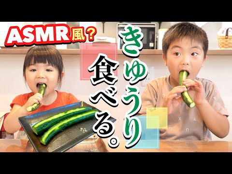 【ASMR風】あつここがきゅうりを食べる！◆咀嚼音・音フェチ◆パリパリ野菜を丸かじりしながら爆笑が止まらない！-Cucumber Eating Sounds- 爆食い 大食い Mukbang