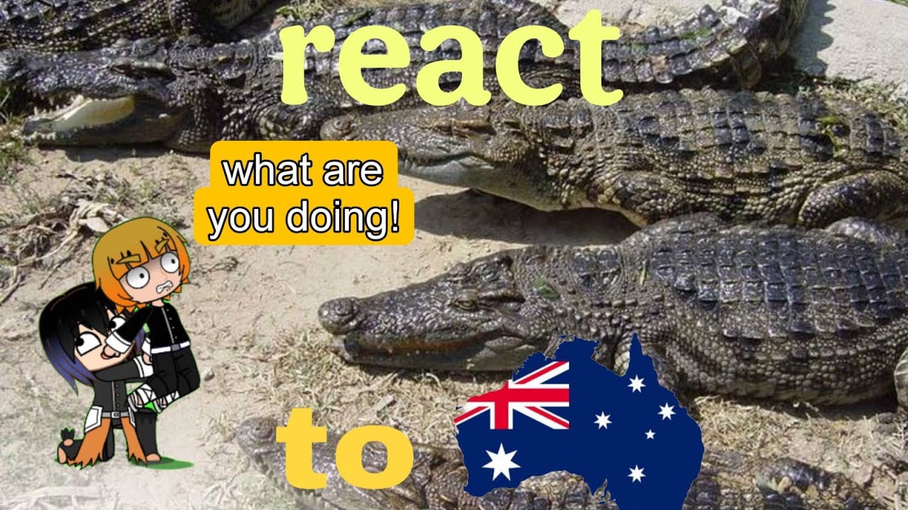 Demon Slayer React  to Australian Wildlife by Moreparz #1