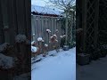 Het sneeuwt in Heiloo