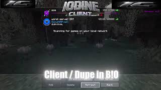 This Donut SMP DUPE Still WORKS💀