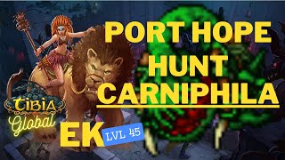 TIBIA - EK LVL 45 COLLABRA - hunting Carniphila ( Tiquanda Laboratory )