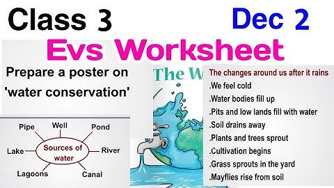 Class 3 Evs Worksheet December 2/Std 3 Evs Worksheet Dec 2/3 class evs worksheet 2/12/21/talent hunt