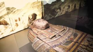 Missione Egitto 1903 - 1920