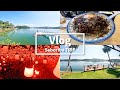 Vlog ゲーム実況者4人が行く九州2泊3日サボり場旅行 Vlog ゲーム実況者4人が行く九州2泊3日サボり場旅行