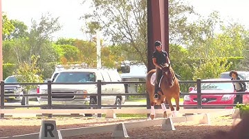 George Williams: Riding the Forward Stride in the Canter Pirouette