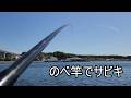 【海釣り始動】サビキ仕掛けは魚皮がおすすめ!ピンクスキンは安いだけ?