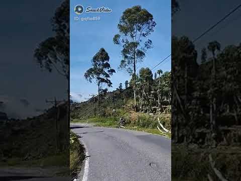 Andai esok kau dapatkan pengganti diriku