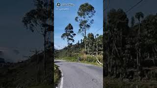 Andai esok kau dapatkan pengganti diriku