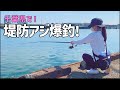 千葉の堤防でアジ連発！試行錯誤でウキが沈みまくる！！【2024.7】