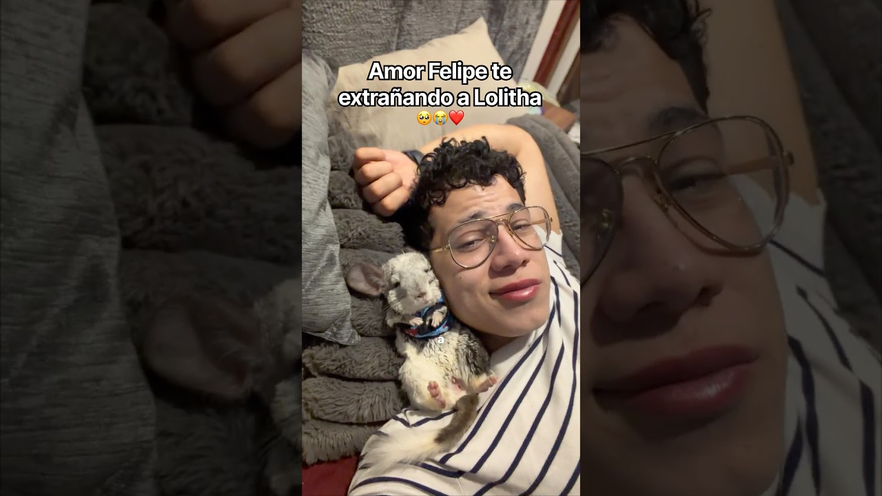 Original Title & Thumbnail