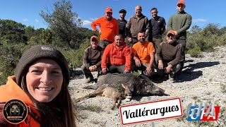 CHASSE SANGLIER DANS LE GARD : Résumé de 3 battues