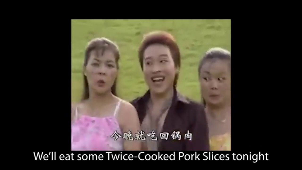 Probably The Most Hilarious Chinese Song Ever Translated Part 1