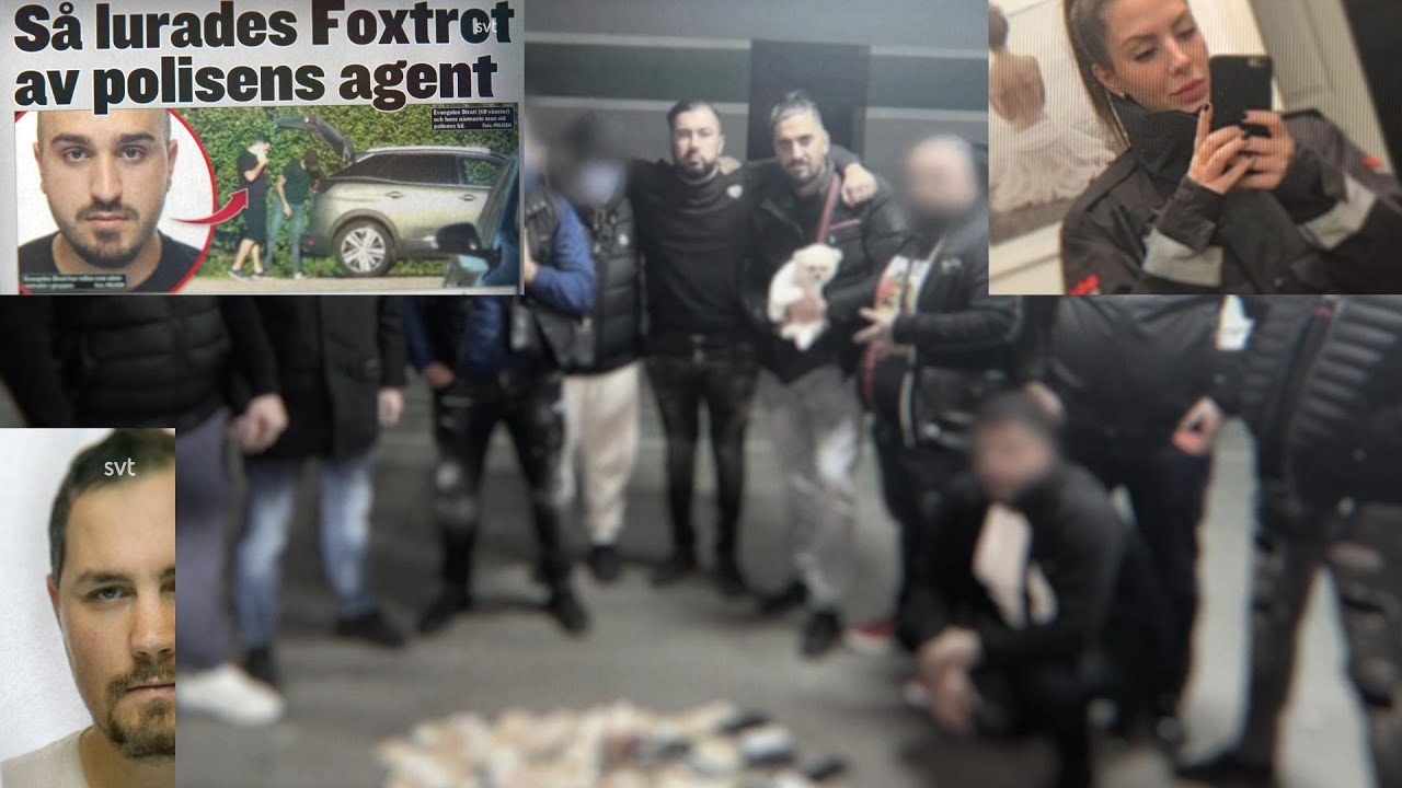 SVENSK MAFFIA:RAWA MAJIDS FOXTROT