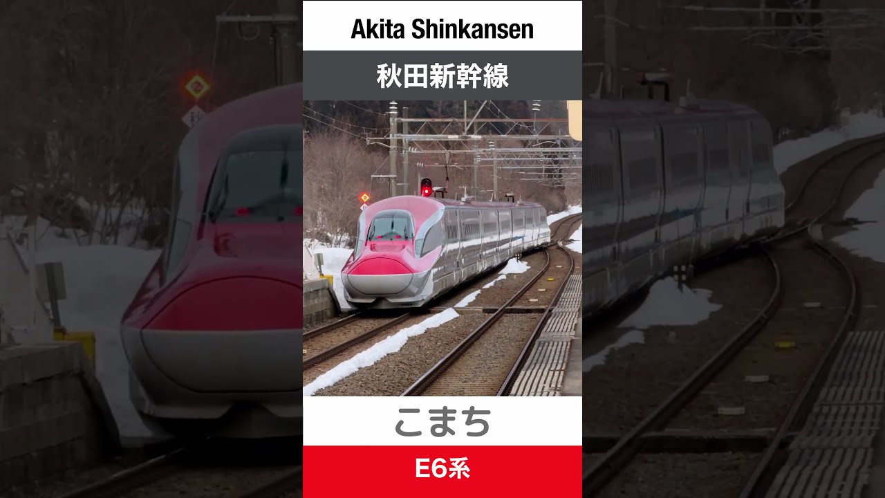E6系】刺巻駅を通過する秋田新幹線こまち【電車が大好きな子供
