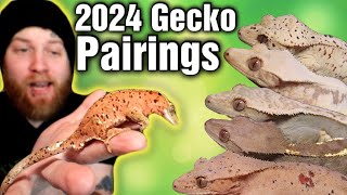 Want To Have Success Breeding Crested Geckos? Don't Forget To Do This!