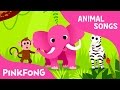 Animals, Animals | Animal Songs | PINKFONG Songs for Children