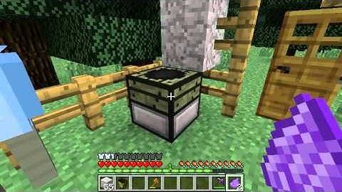 Minecraft Aether:How to tame a Moa