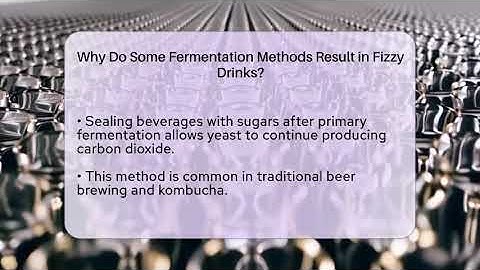 Why Do Some Fermentation Methods Result in Fizzy Drinks? | The Pint Guy
