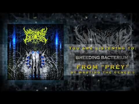 Wasting The Genesis - PREY [Official Full EP Stream]