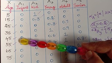 support, height, normalized, convex fuzzy set